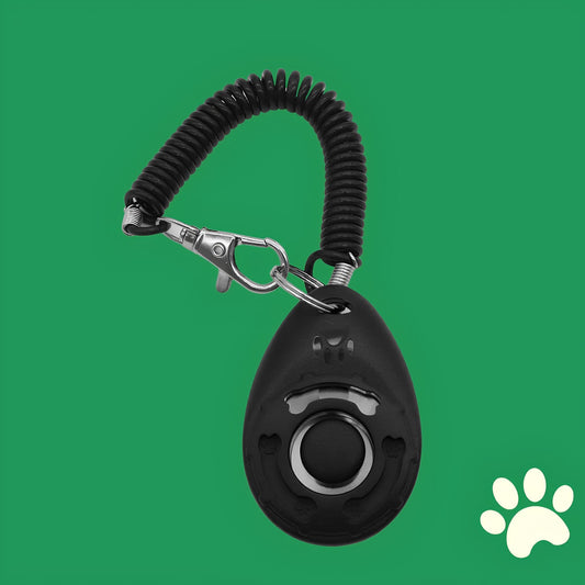 Clicky™ - Clicker de dressage